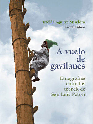 cover image of A vuelo de gavilanes